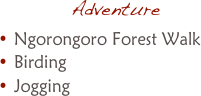 AdventureNgorongoro Forest WalkBirdingJogging